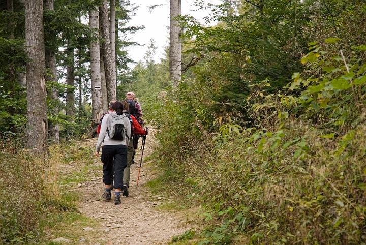0438.jpg - W drodze na Halę Krupową