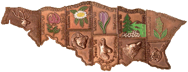 Pamiątkowe znaczki